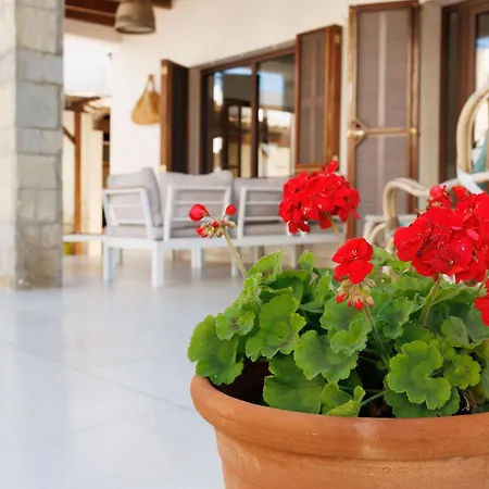 Ordinas Alcudia (Mallorca)